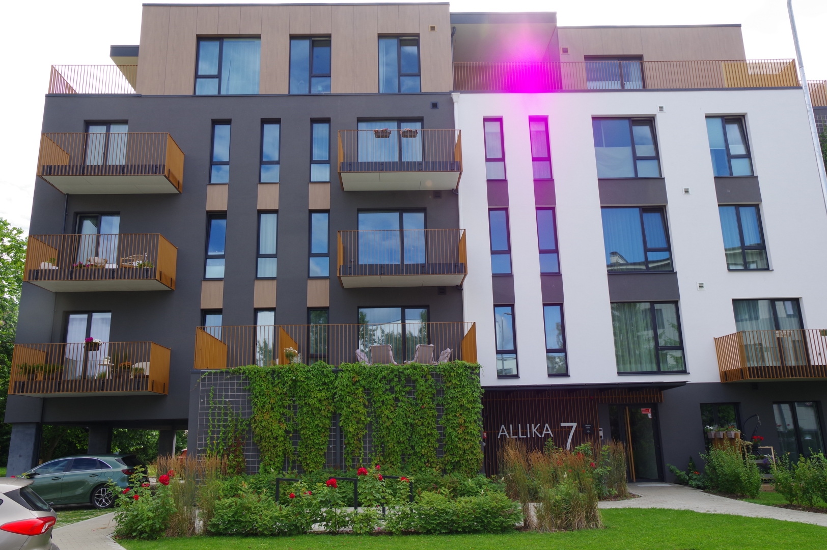 Allika 7