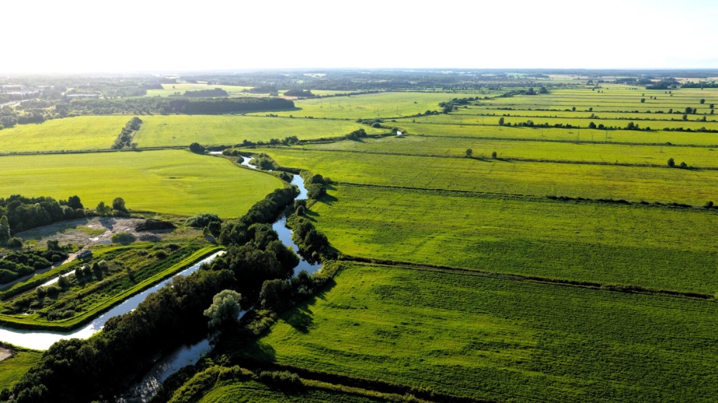 DJI_20260729194345_0063_D-1536x864.jpg