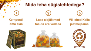 Mida teha sügislehtedega