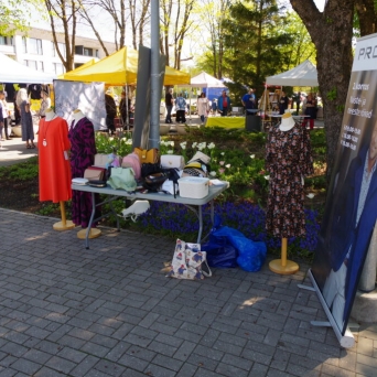 Ettevõtete Festival Kuusepargis