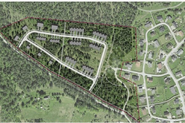 Tammelehe arenduse skeem