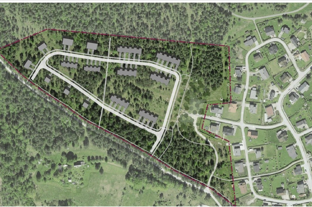 Tammelehe arenduse skeem